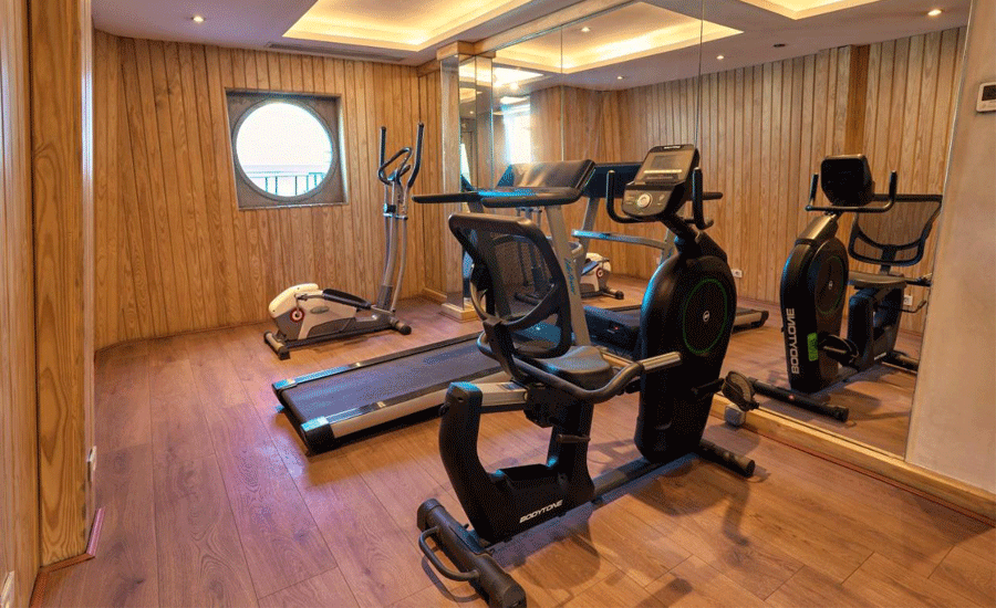   Wellness 