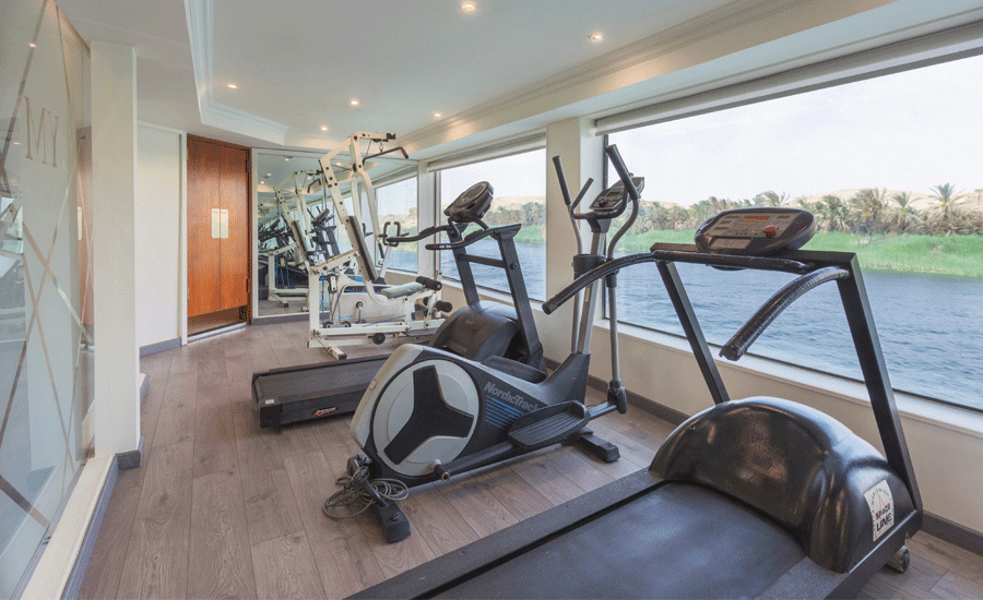   Wellness 