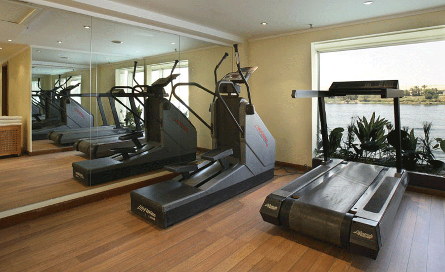   Wellness 