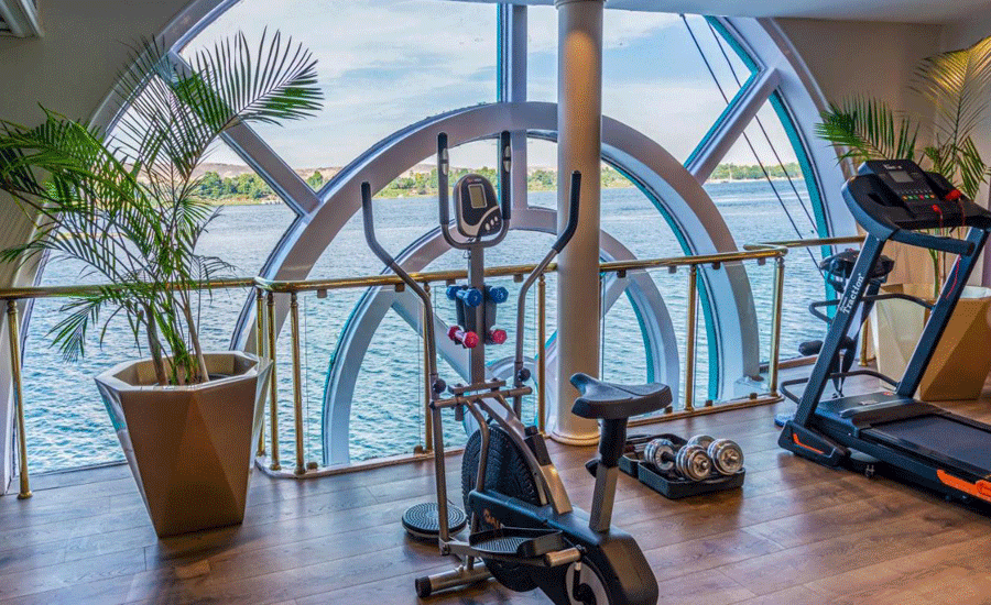   Wellness 