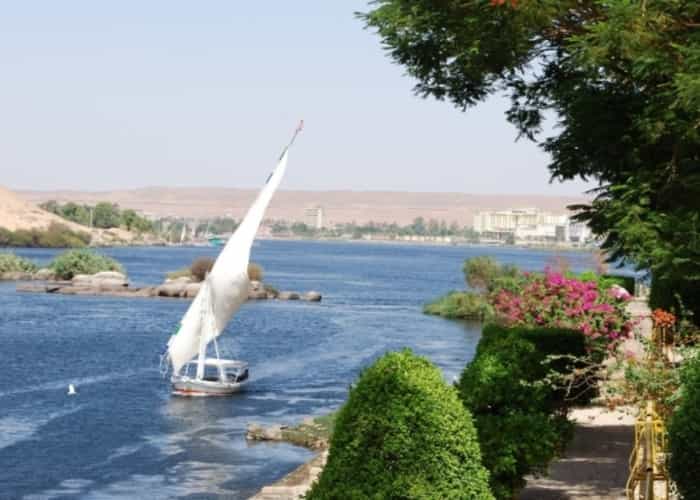   Felucca ride in Aswan  